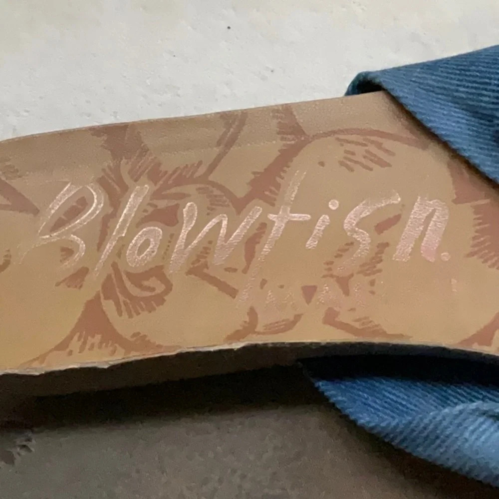 Blowfish - Picture 11 of 11